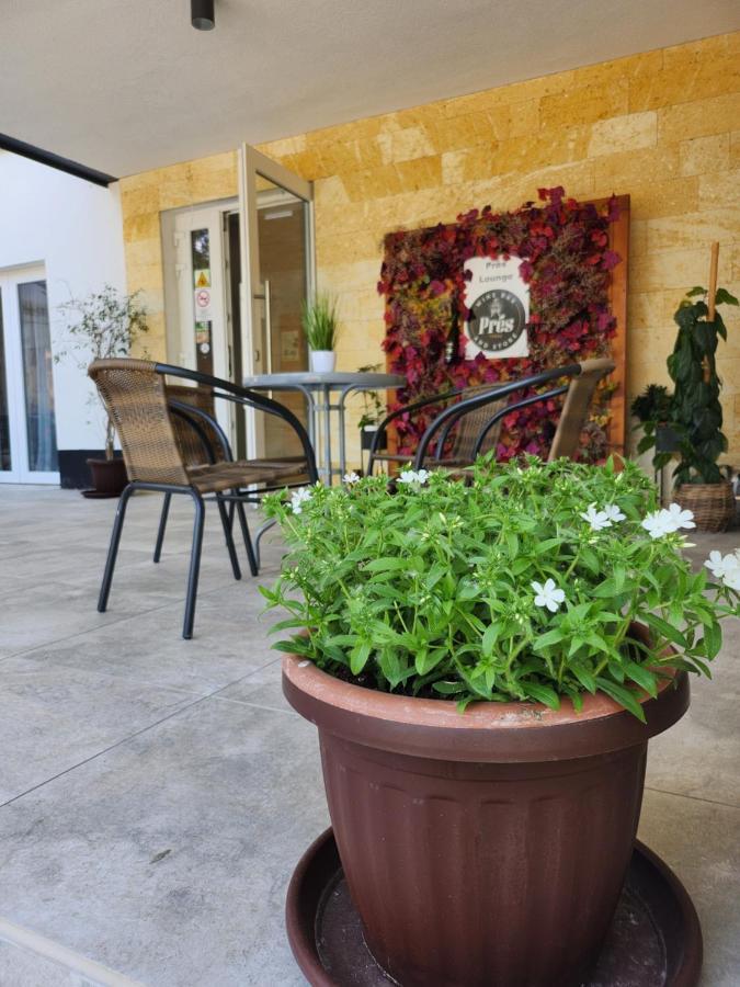 Hotel Csillag Токай Екстериор снимка